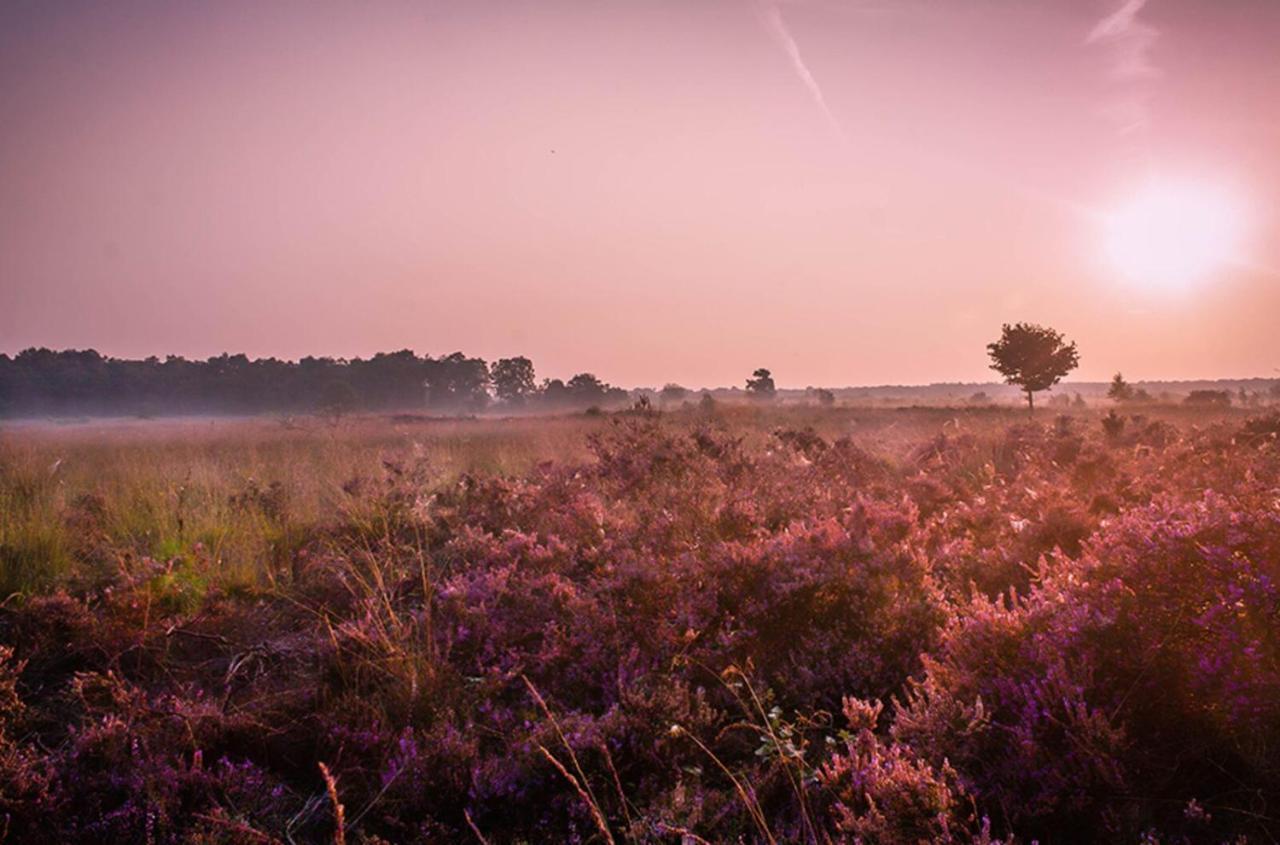 6-Persoons Veluwe Villa ฟัวร์เธาเซอ ภายนอก รูปภาพ